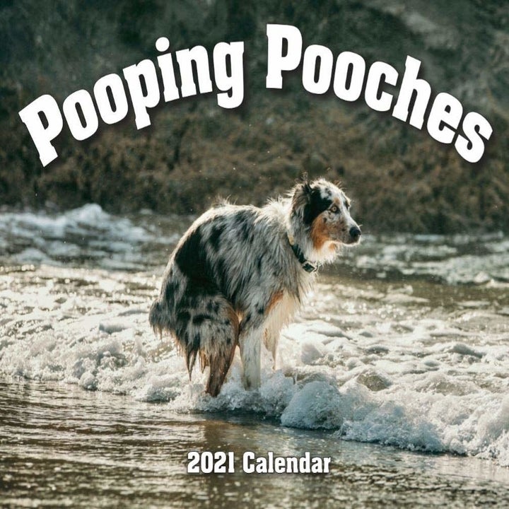 cover of a "pooping pooches" wall calendar
