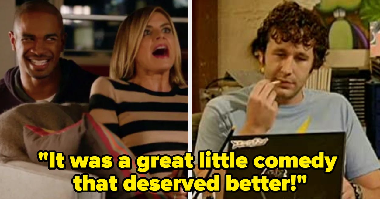 TV Shows That Are Great But Never Became Popular — Reddit