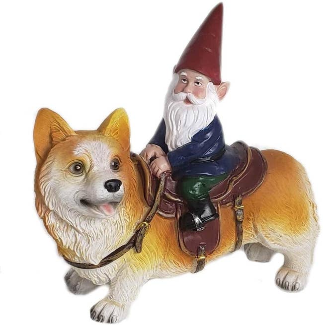 statue of a corgi with a horse-like saddle on it and a garden gnome riding it