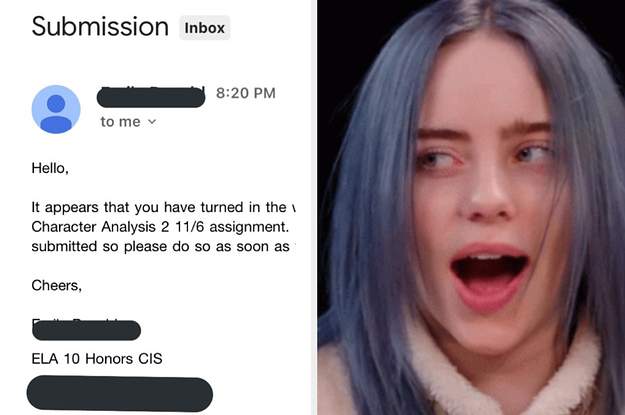 Person accidentally submitted fan fic
