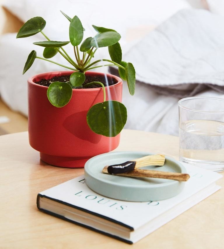 A small potted pilea peperomioide plant on a side table next to a book and a smoking palo santo stick