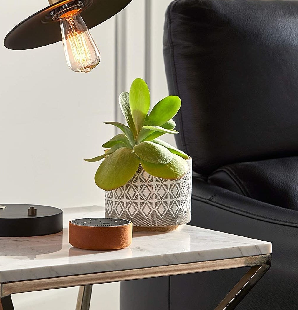 A ceramic planter on a side table with a plant in it