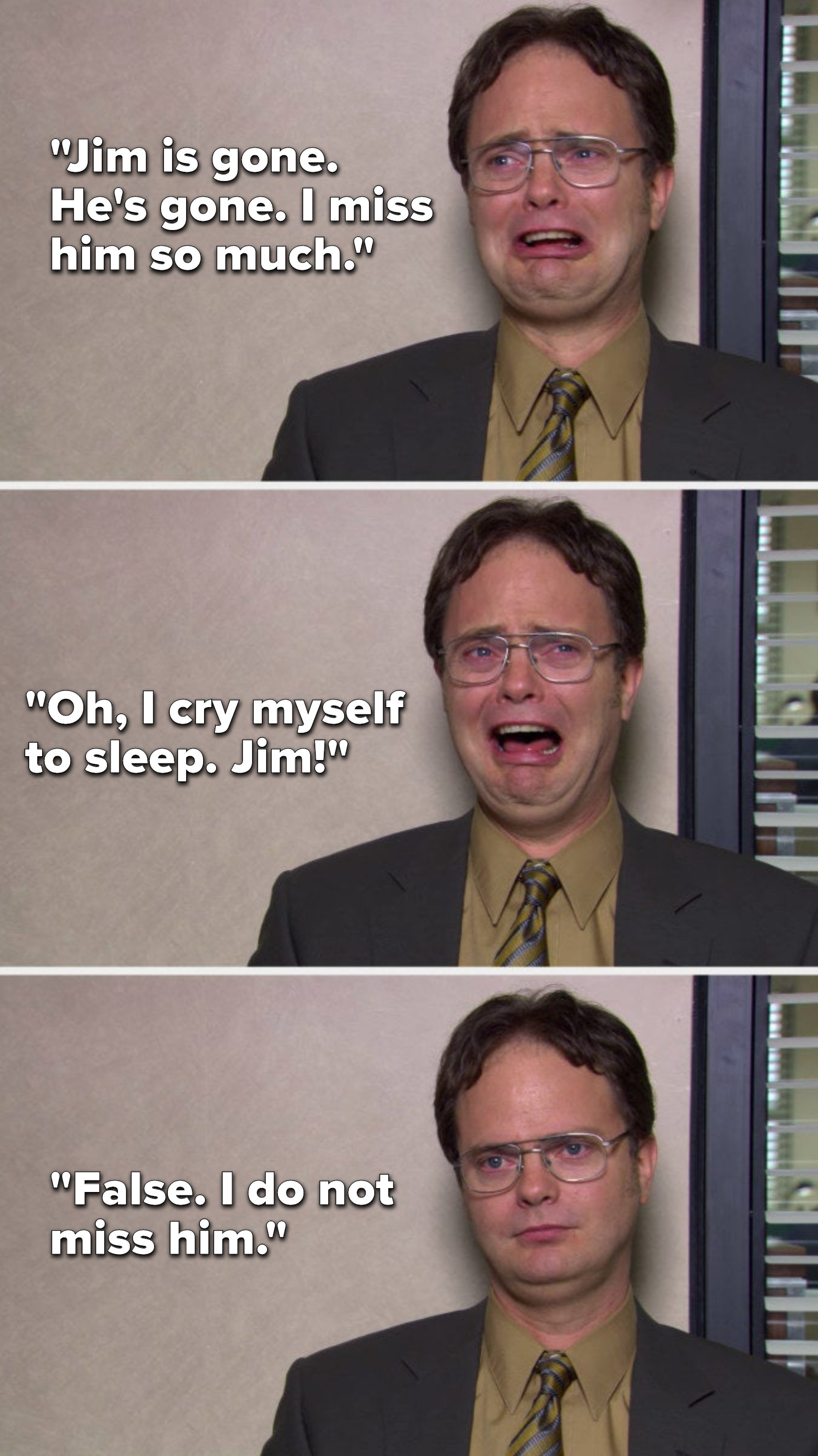 Dwight cries, &quot;Jim is gone, he&#x27;s gone, I miss him so much, oh, I cry myself to sleep, Jim&quot; then he stops pretending to cry and says, &quot;False, I do not miss him&quot;