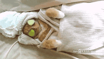 Cat wearing a robe and a towel on its head lying on a spa bed with cucumbers on its eyes.