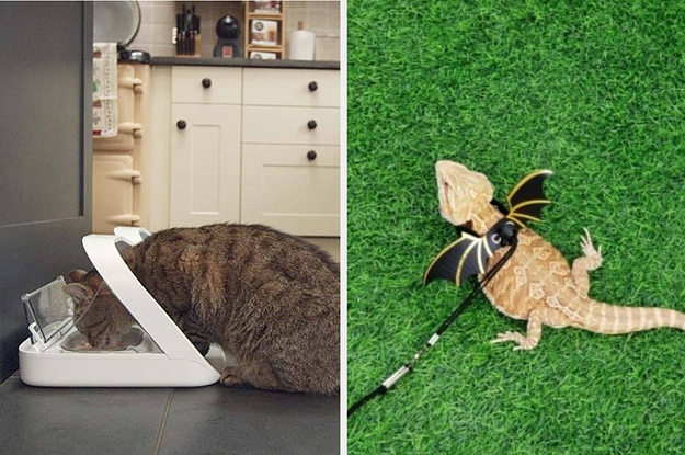 32 Practical Gifts From Amazon Any Pet Owner Will Seriously Appreciate