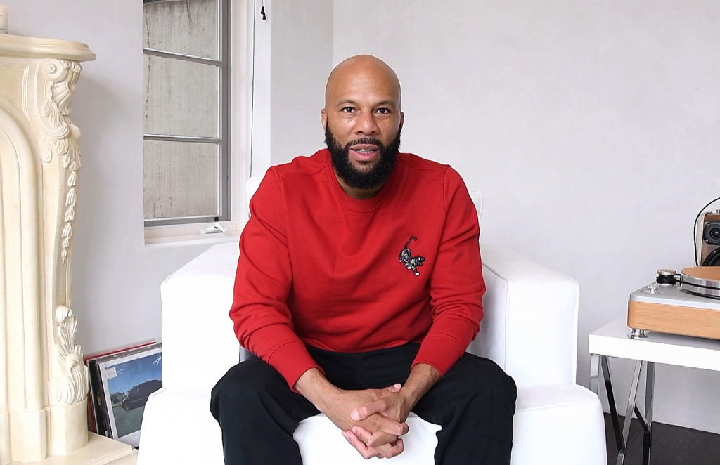 Common sitting on a couch next to a record player