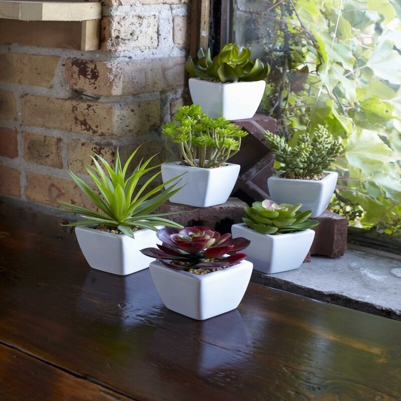 six artificial succulents ranging from light green to burgundy, all in individual white square pots on a ledge