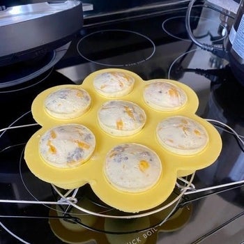 reviewer photo of egg bites