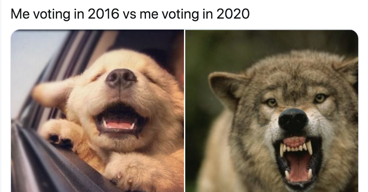 Meme Compares How People Feel Voting In 2020 Vs 2016