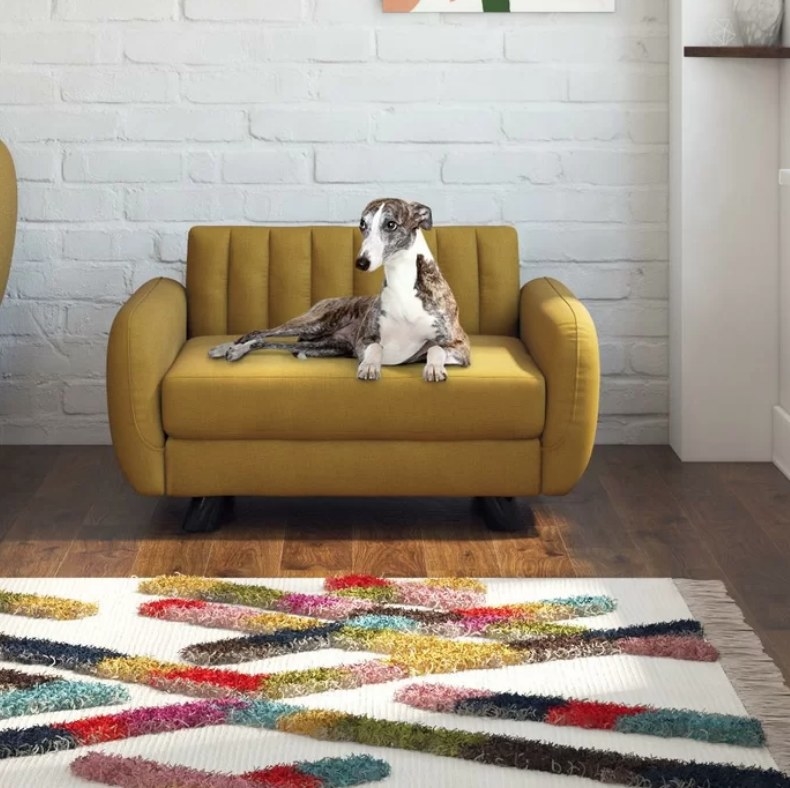 Dog sitting on mustard colored pet sofa on wooden floor with multicolored rug