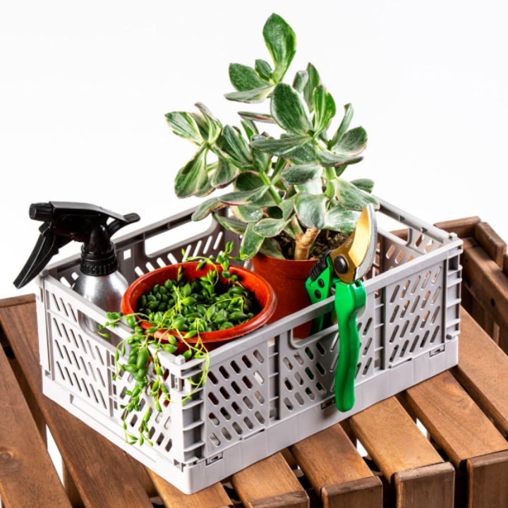 One of the crates unfolded and filled with plants