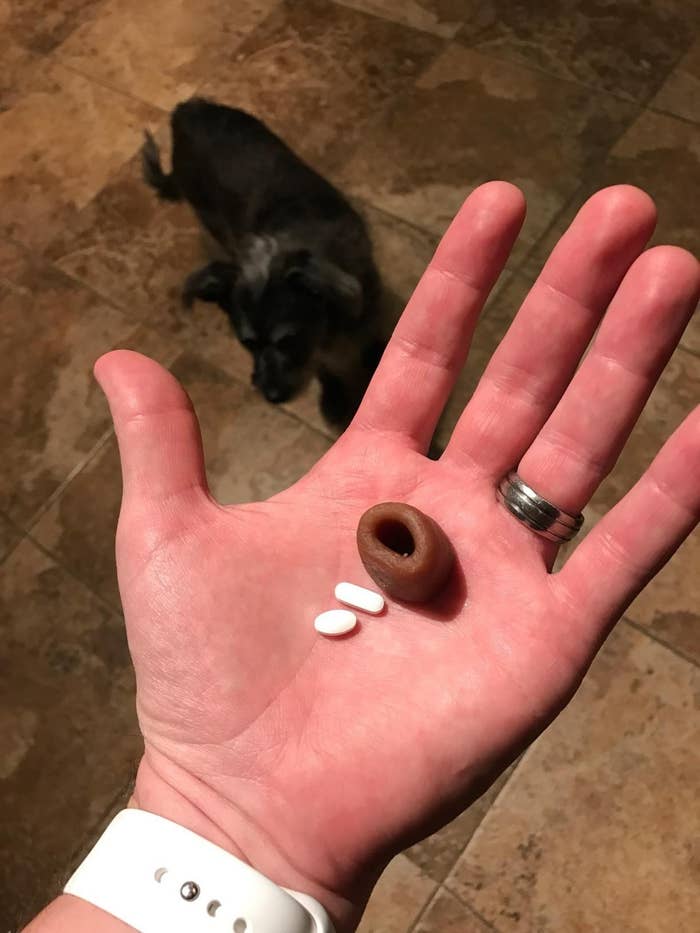 The treats, held in an open palm next to two pills