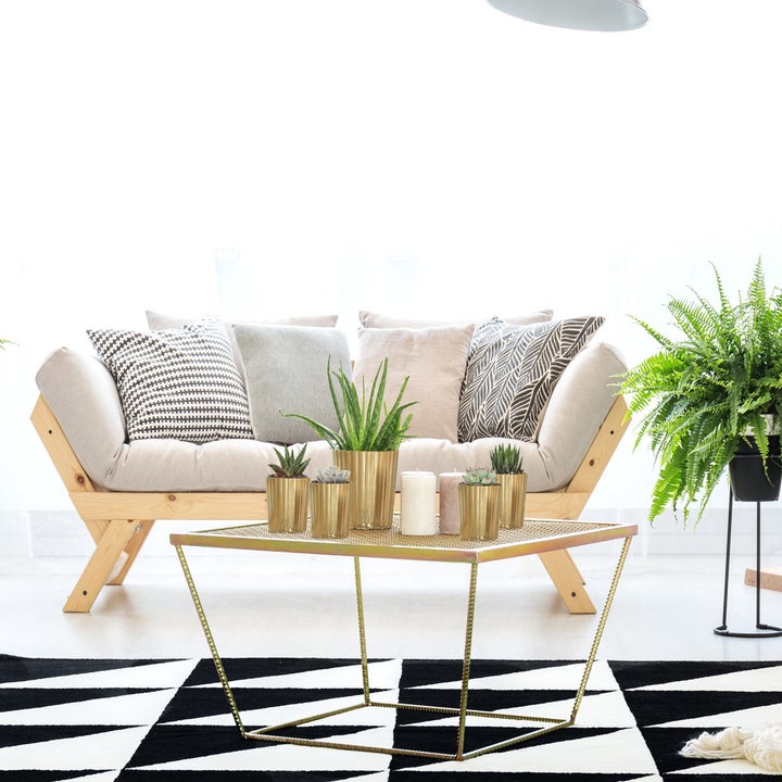 Succulents on table on top of triangle carpet in front of grey sofa in bright apartment with ferns and lamp