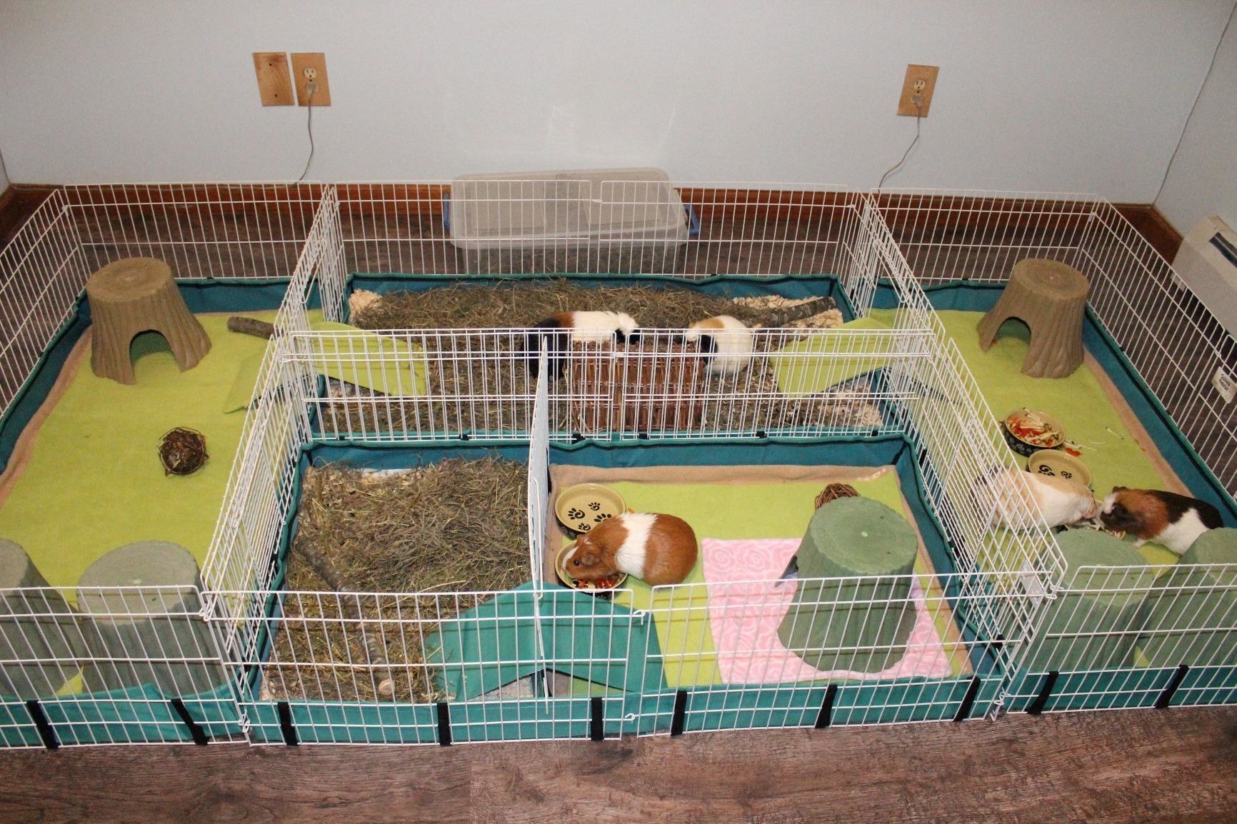 The habitat, which has wire mesh walls, a ramp, and dividers