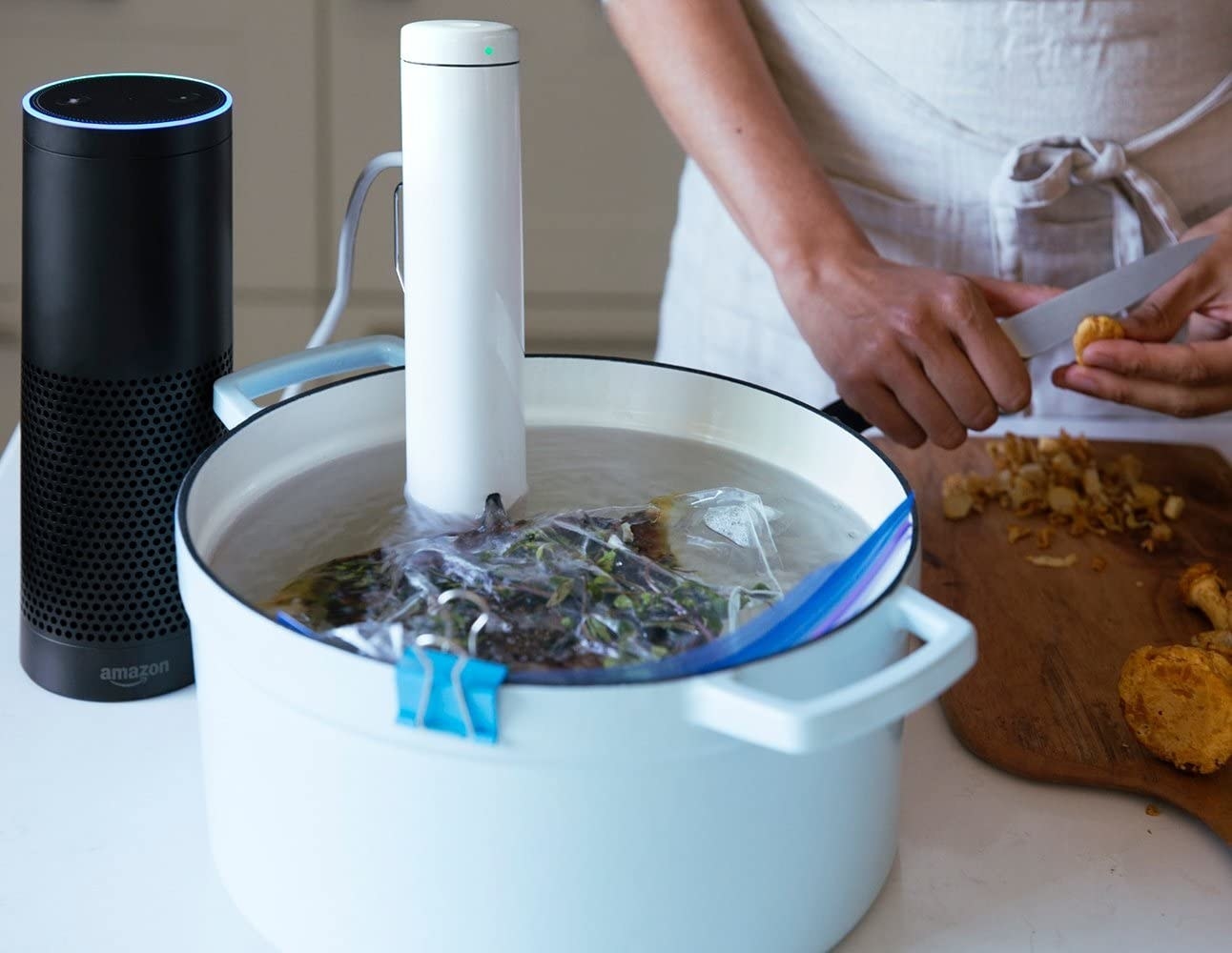 The white cylindar-shaped sous vide in a pot of water