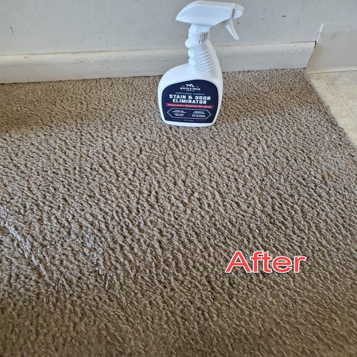 The spray standing next to a clean carpet after use