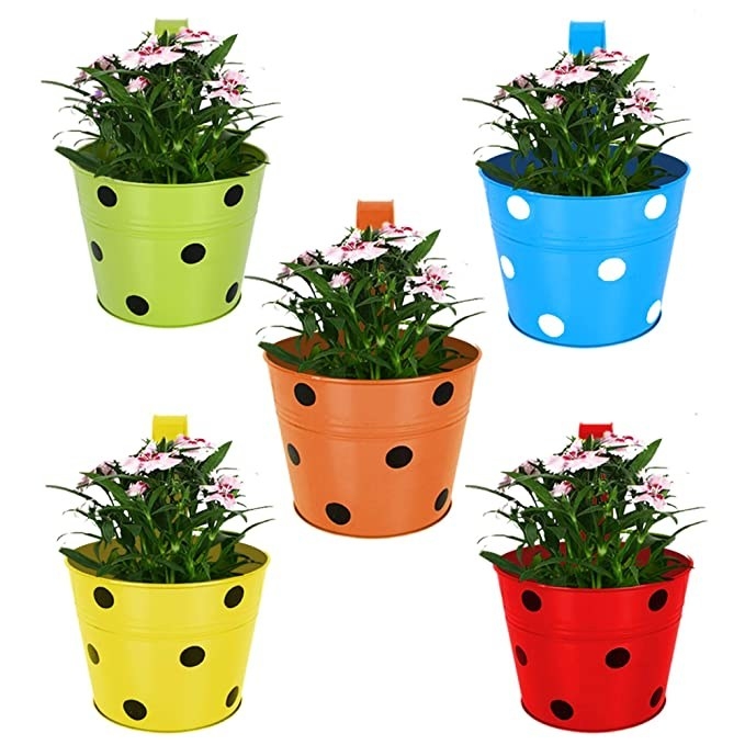 Planters in green, blue, orange, yellow and red with polka dots on all of them.