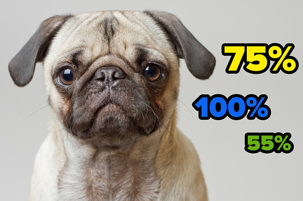 Pictures That Show How 100 Years Of Breeding Has Changed Dog Breeds ...