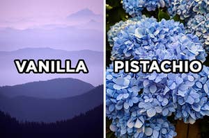 On the left, a view of the mountains labeled "vanilla," and on the right, some hydrangeas labeled "pistachio" 