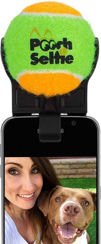 The attachment, which fits on the top of most smartphones; it's a plastic holder for a small tennis ball, which sits on top