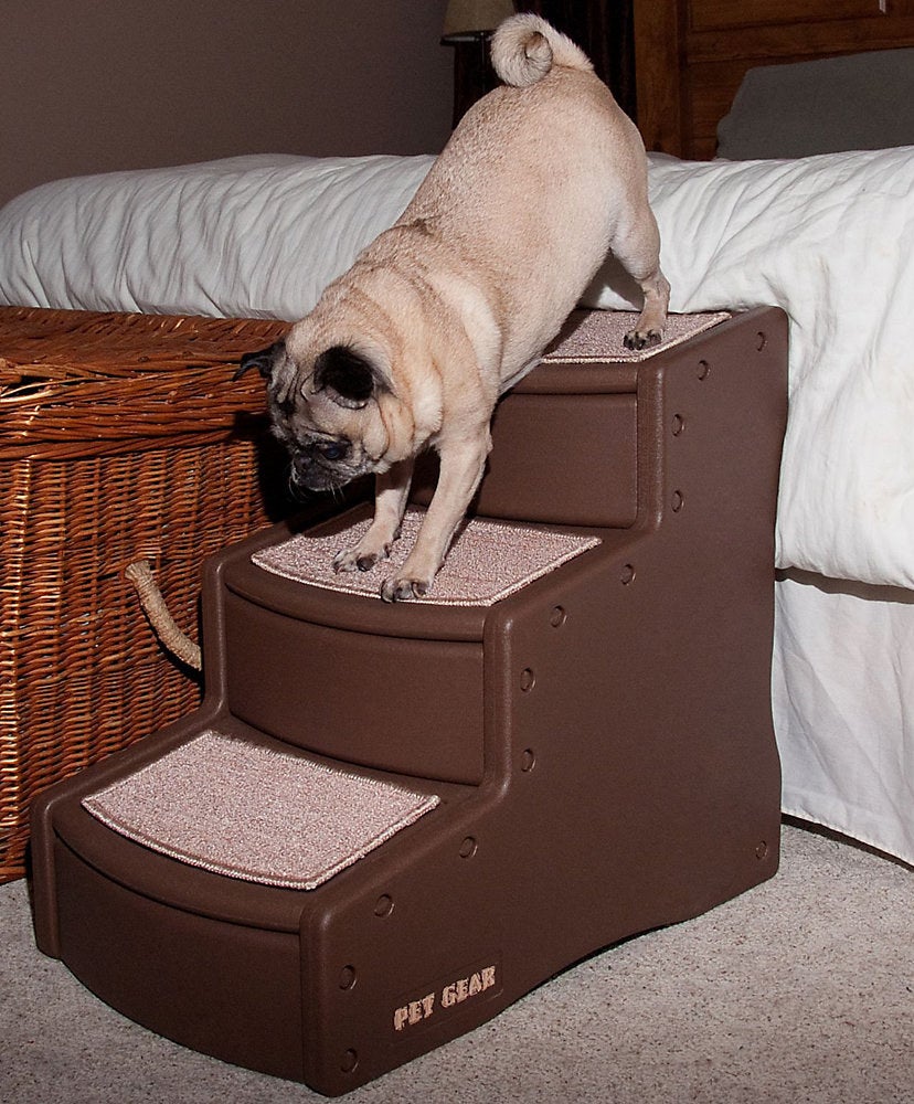 pug climbing down wide stairs leading from bed