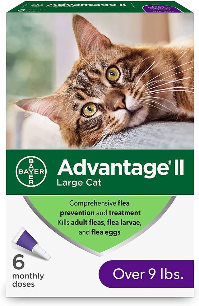 28 Amazon Pet Products That Are Worth The Investment
