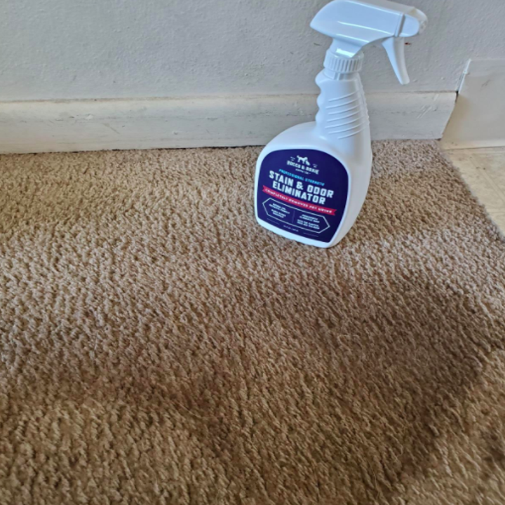 A before photo of a carpet looking dirty 