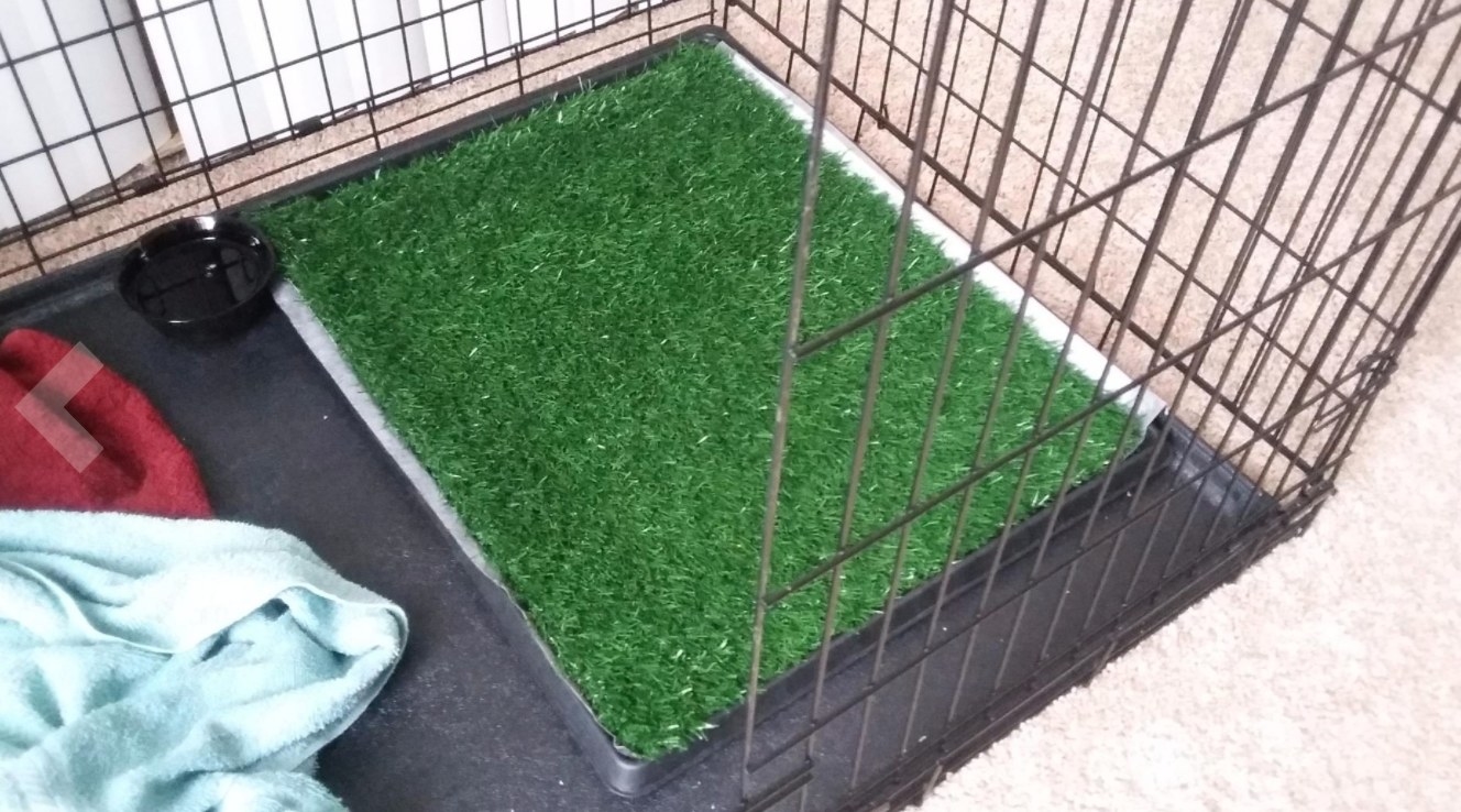 The artificial grass pad