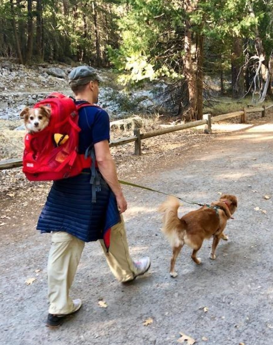 The dog carrier backpack