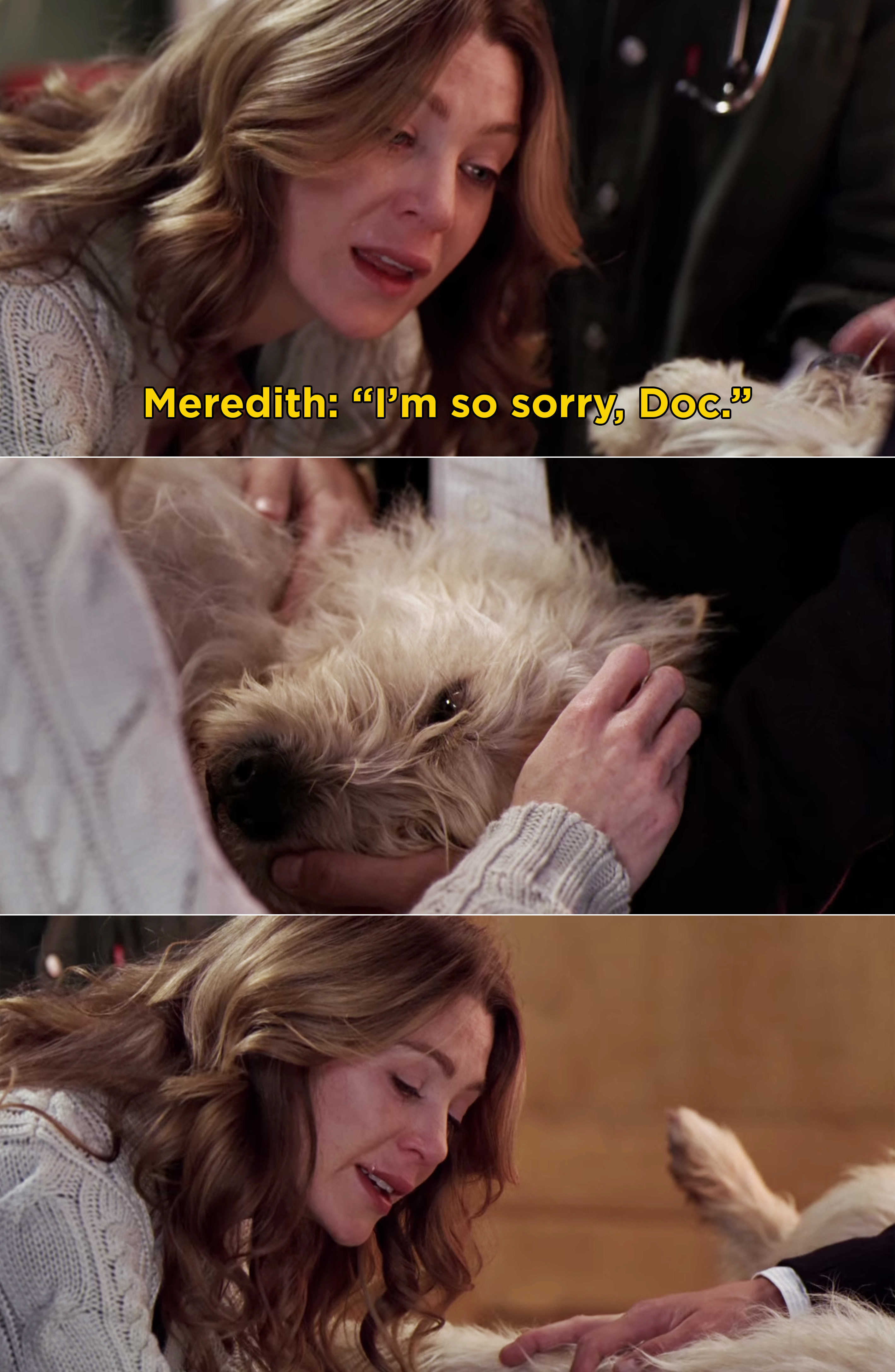 Meredith crying and petting Doc and saying, &quot;I&#x27;m so sorry, Doc&quot;