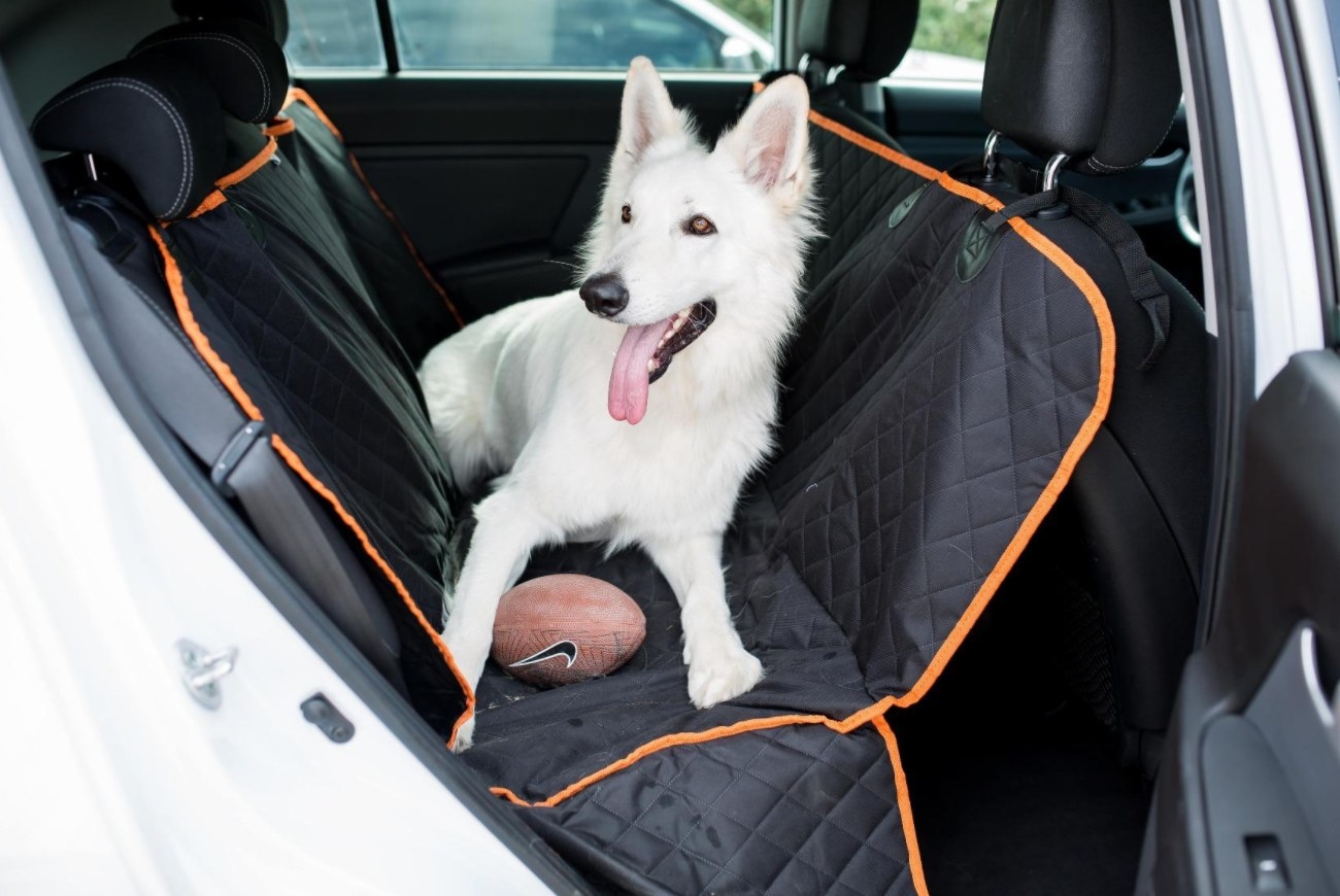 The car seat hammock