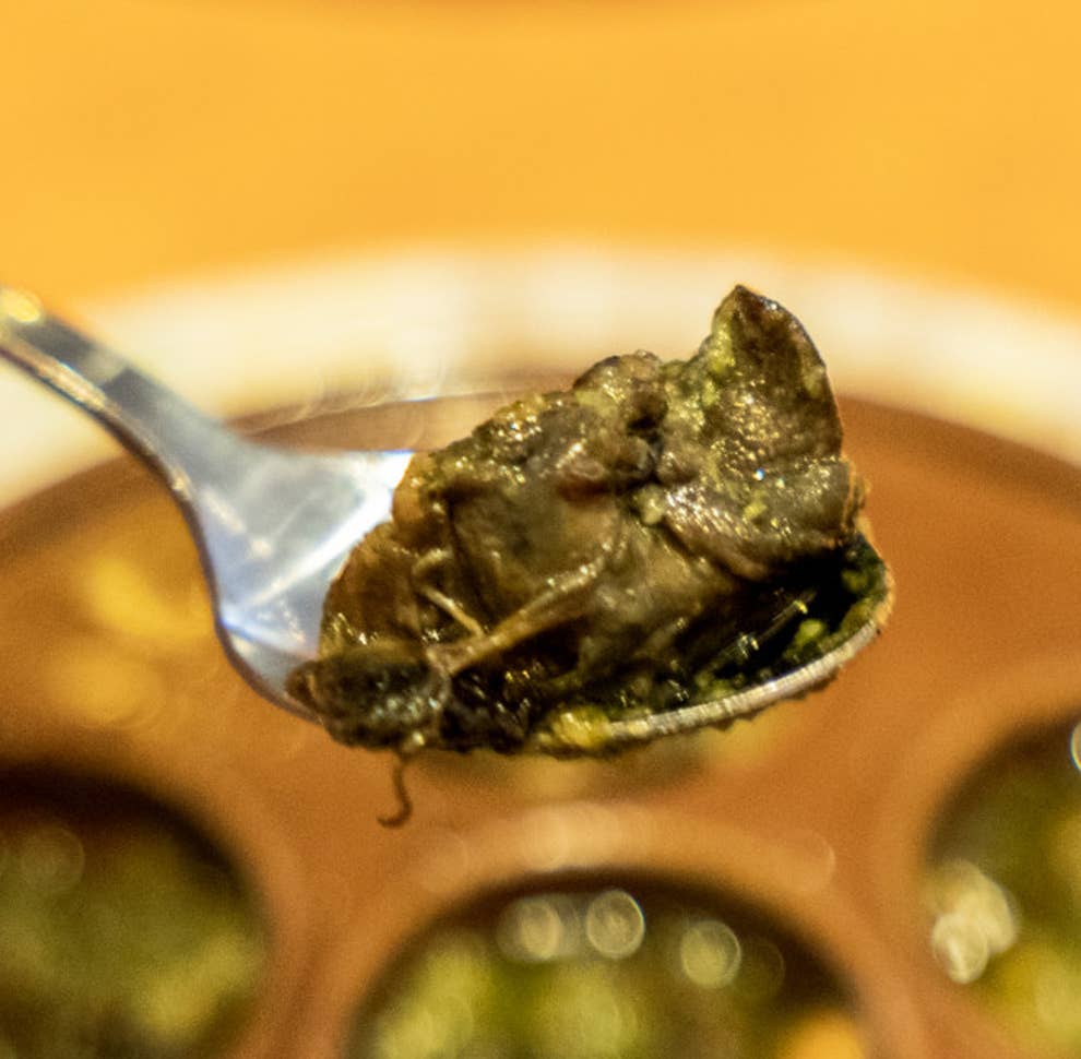 食わず嫌いしてたことを後悔 サイゼリヤの エスカルゴ がこんなに美味しかったなんて 食わず嫌いしてたことを後悔 サイゼリヤの エスカルゴ がこんなに美味しかったなんて