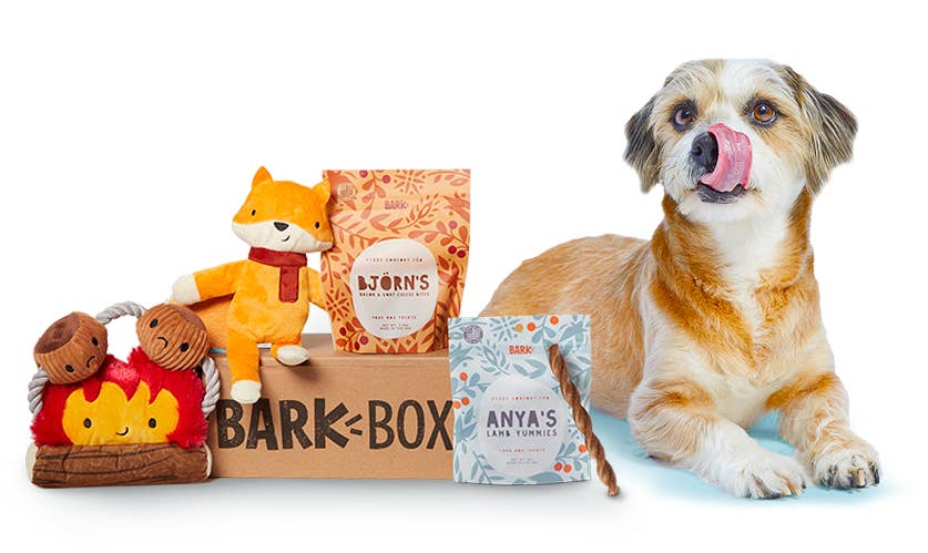 Gifts for dog lovers buzzfeed top