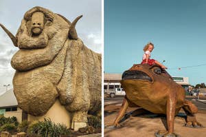 Side by side image of a giant statue of a merino sheep and a small girl sitting on a cane toad
