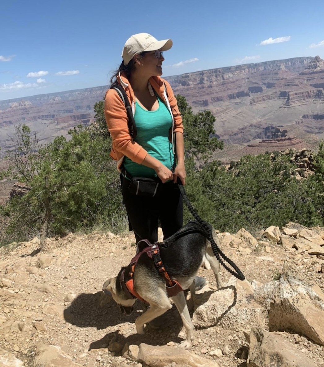Reviewer is standing with a dog using a hands-free leash