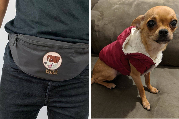 40 Cute And Useful Gifts For Dog Pawrents