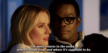 Chidi tells Eleanor &quot;the wave returns to the ocean, where it came from, and where it&#x27;s supposed to be&quot;