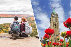 An image of two people sitting on a cliff wearing backpacks, An image of a bunch of flowers with the Parliament Hill building in the background 