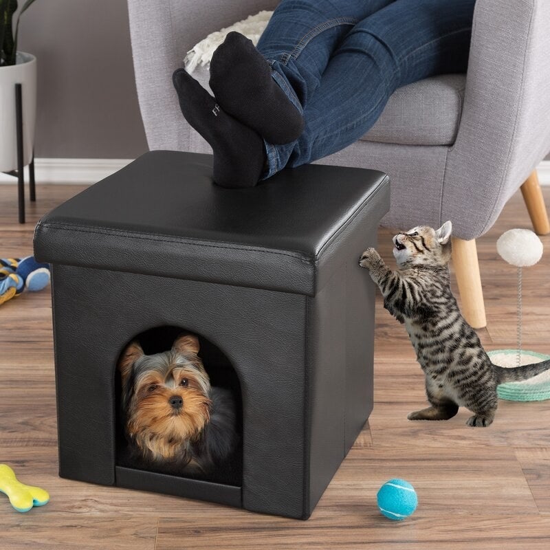 A dog inside a dog house that's also an ottoman and a kitten outside playing