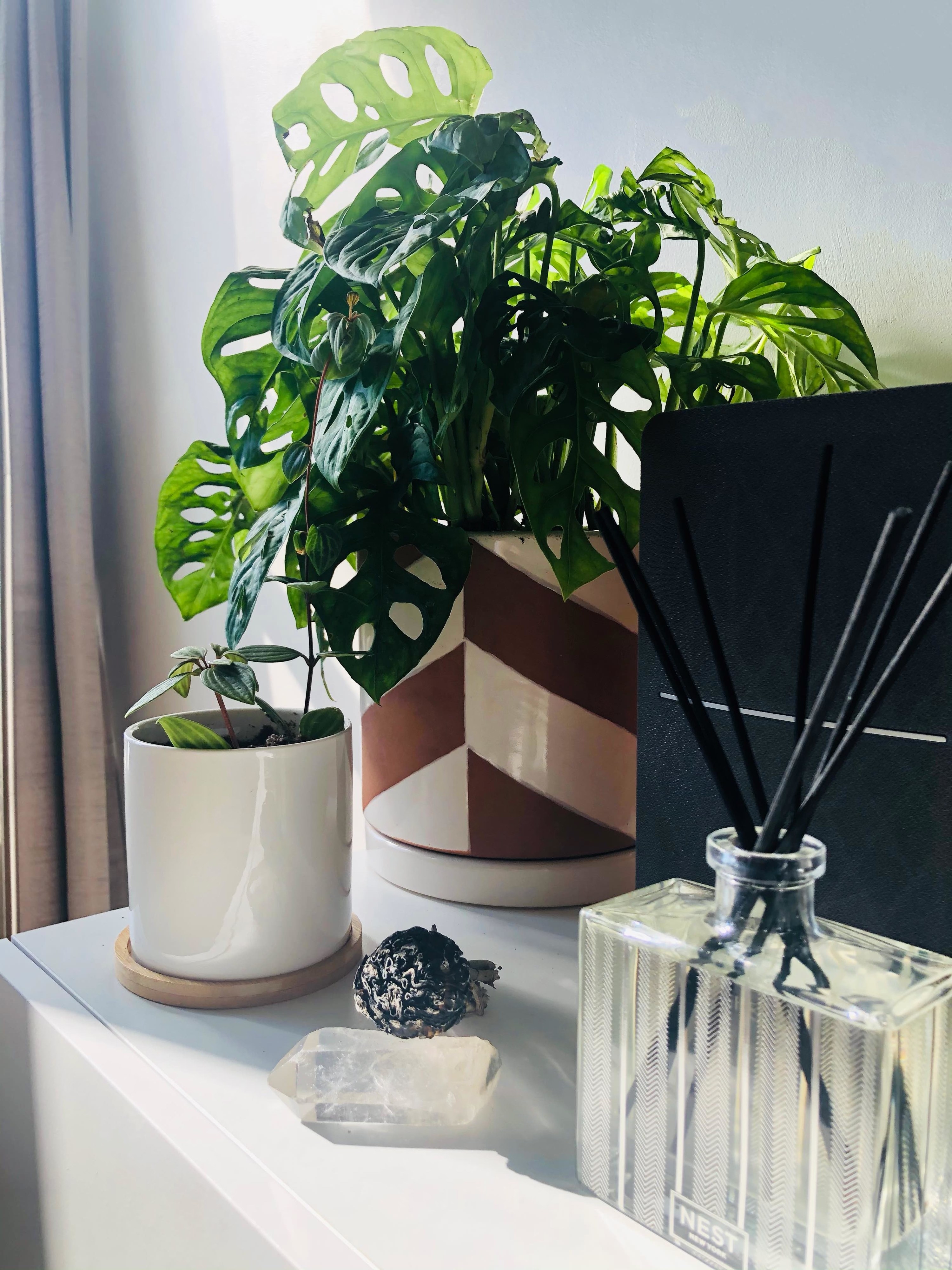 The reed diffuser next to plants, crystals, and sage