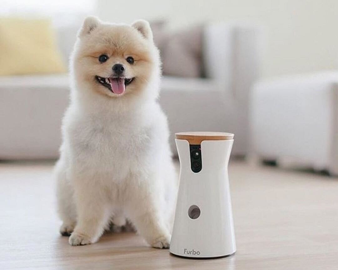 A small dog sitting next to a electronic pet camera and feeding device