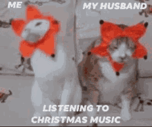Left cat (&quot;me&quot;) nods along to Christmas music while wearing a poinsettia headpiece, right cat (&quot;my husband&quot;) looks annoyed while wearing a poinsettia headpiece.