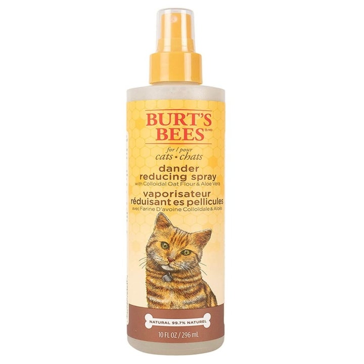 29 ProblemSolving Things From Amazon For Cats