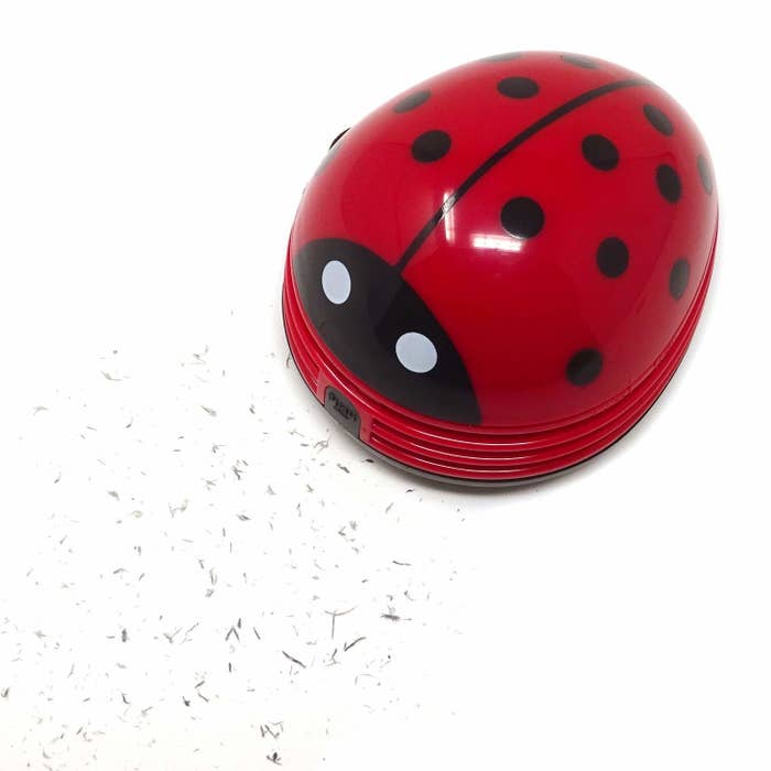 the handheld vacuum