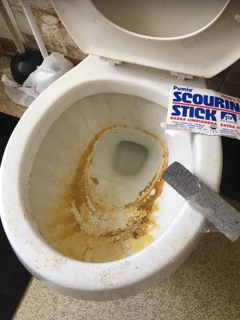 before: reviewer's gross toilet filled with rust and stains 