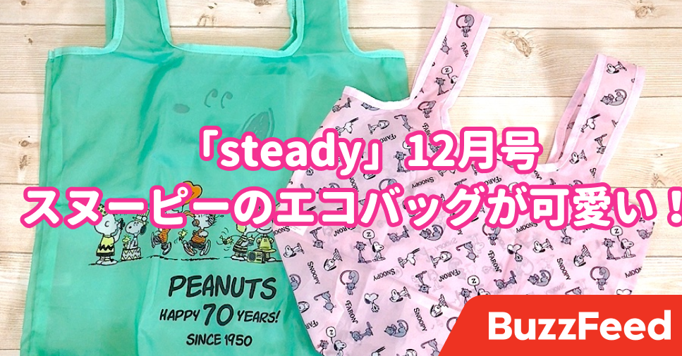スヌーピー好きにはたまらんよ 雑誌付録でこんなカワイイエコバッグを付けちゃって良いの