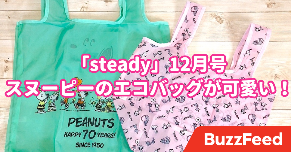 スヌーピー好きにはたまらんよ 雑誌付録でこんなカワイイエコバッグを付けちゃって良いの スヌーピー好きにはたまらんよ 雑誌付録でこんなカワイイエコバッグを付けちゃって良いの
