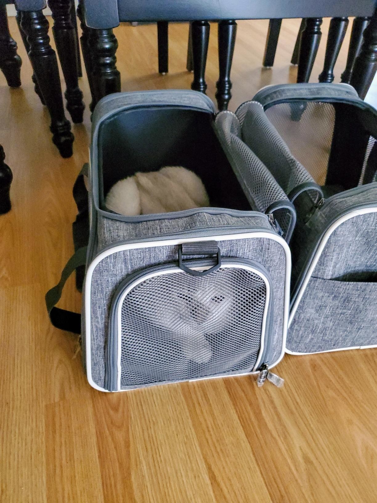 The carrier, which is rectangular, with mesh on the front, back, and side so the pet can see out