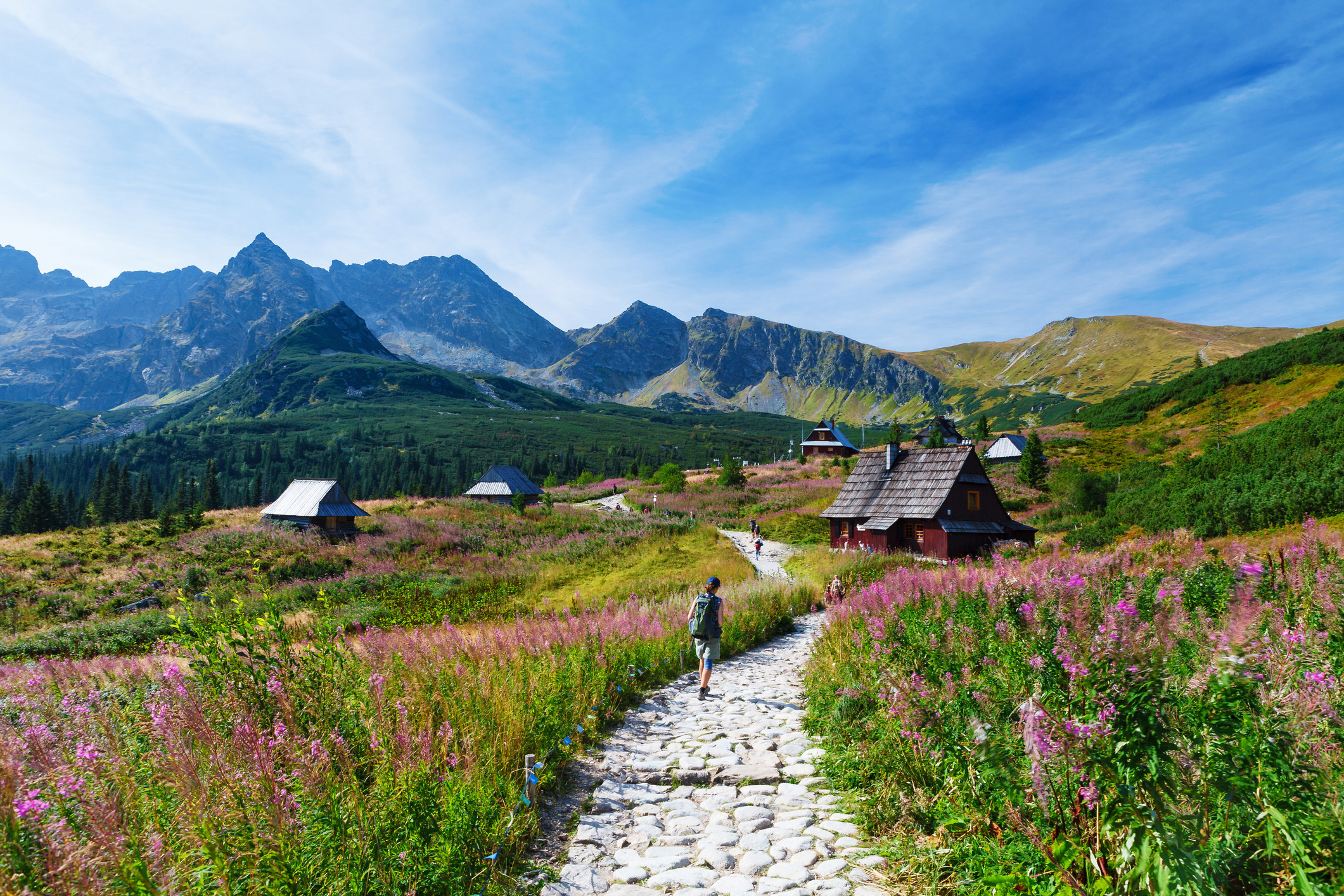 A stone path leading past wildflowers to an alpine hut, with tall mountains set against a bright blue sky