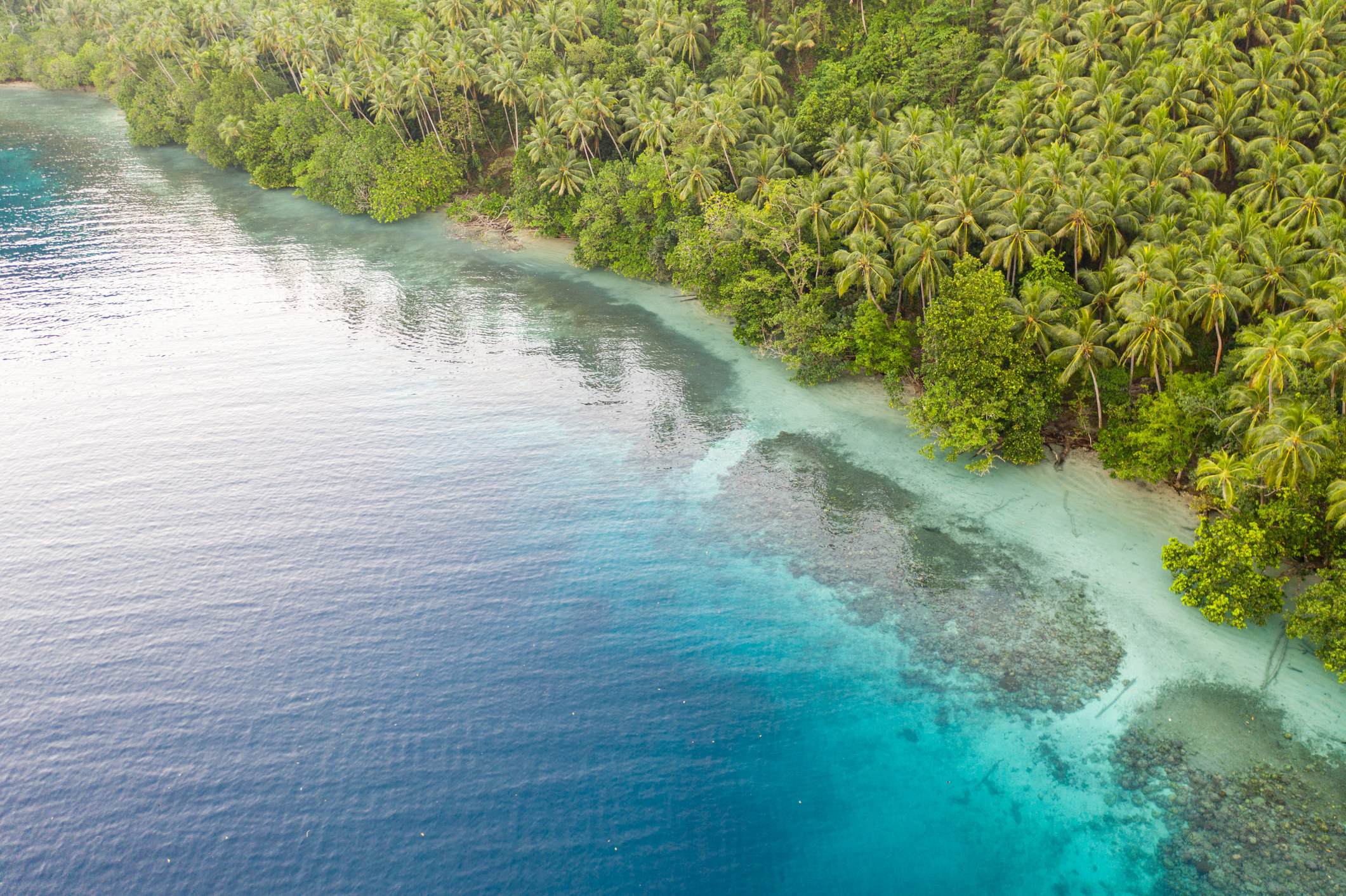 Drone shot of lear blue water and the coast of an island that is covered in dense jungle and palm trees